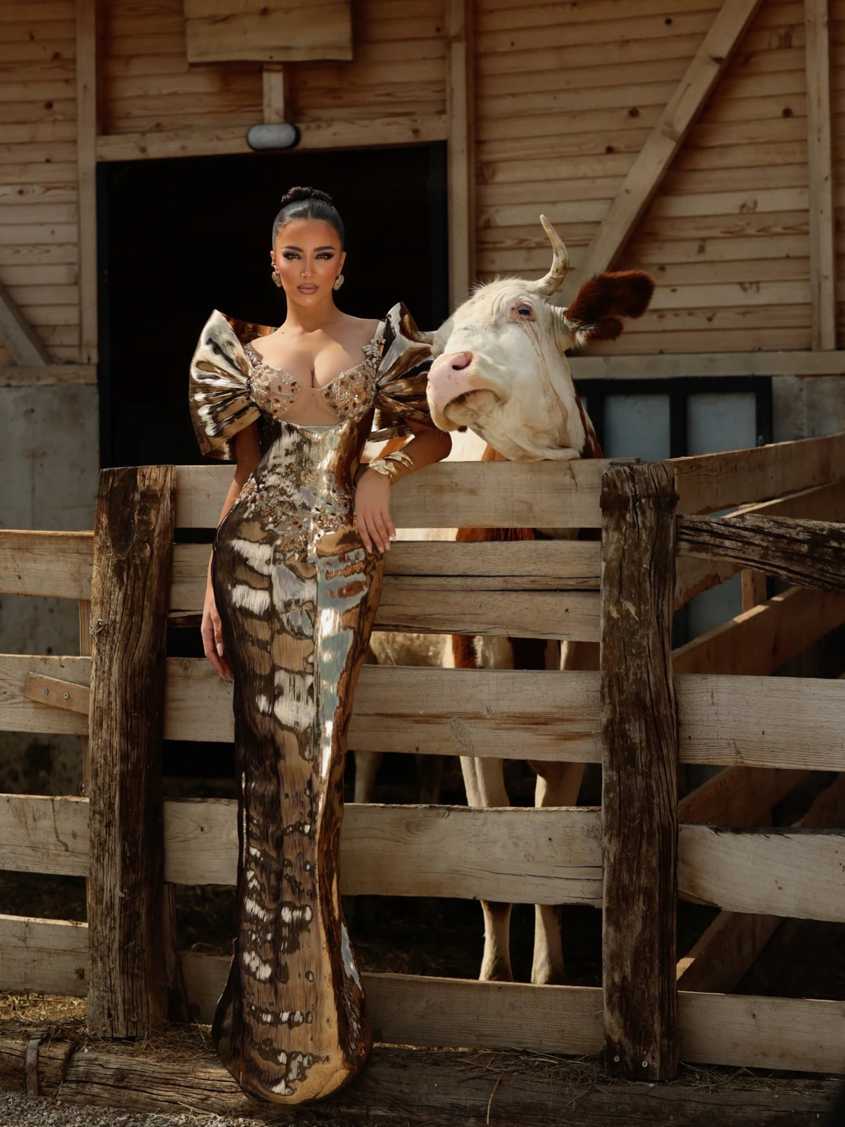 Închiriere Rochie Haute Couture Kosovo Designer - Darina
