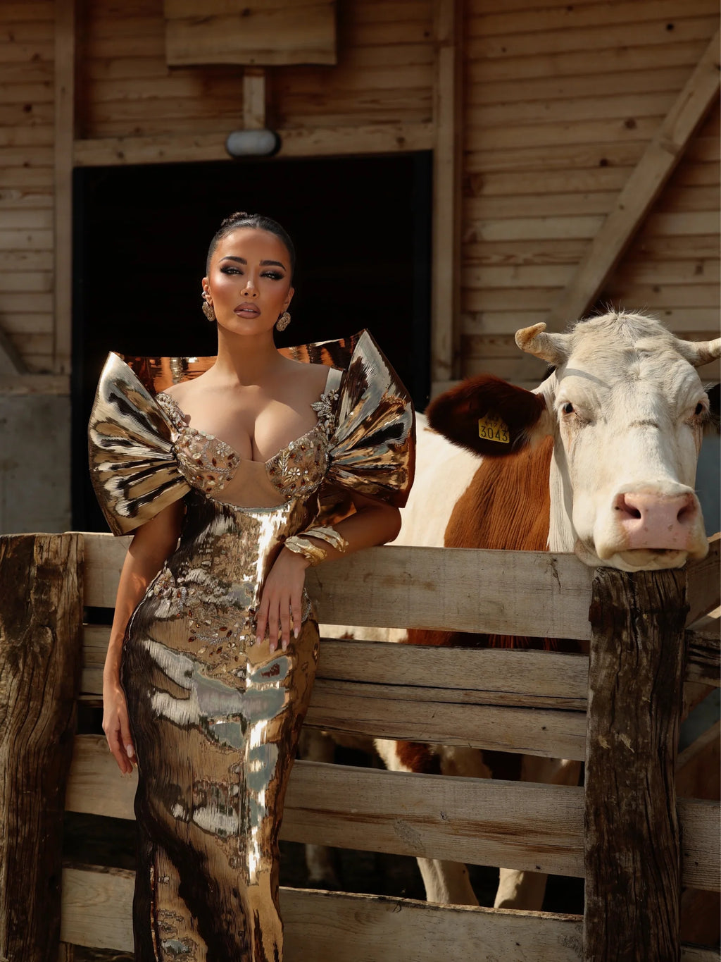 Închiriere Rochie Haute Couture Kosovo Designer - Darina
